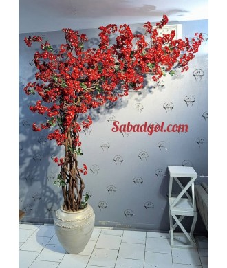 درخت شکوفه یلدایی